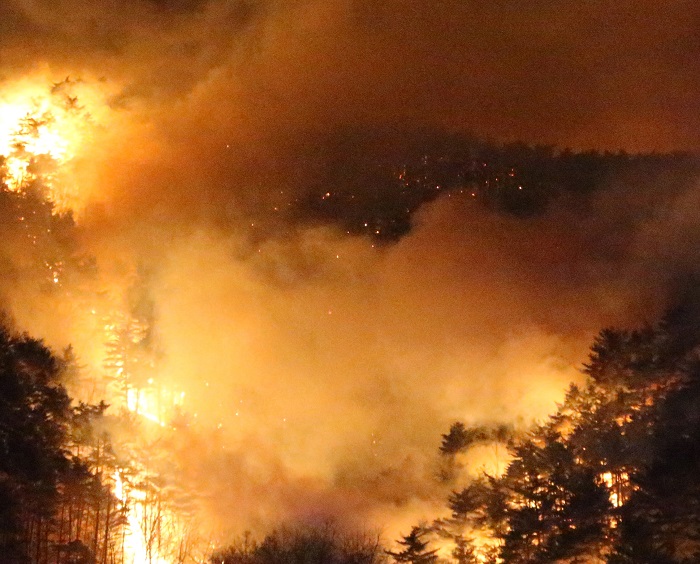 ▲사시사철이 온난한 기후를 자랑하던 우리나라 역시 기후 위기에 있어서는 안전지대가 아니다. (사진/뉴시스)