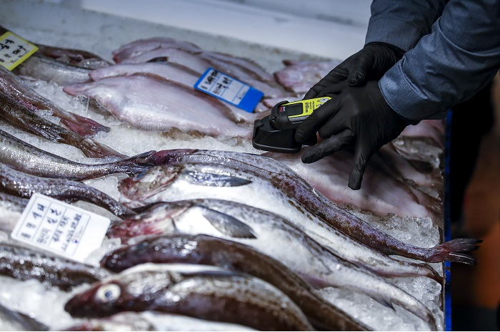 ▲어종 분포 변화, 양식업 생산량 감소, 해조류 작황 부진, 수산물 가격 상승 등 먹거리 변화가 이미 현실화되고 있다. (사진/뉴시스)