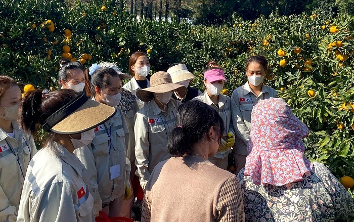 Urgent Need to Improve Living Conditions for Foreign Workers in South Korea