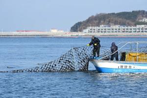 [기후]식지 않는 바다, 달라진 식탁 ②달라진 어장 지도
